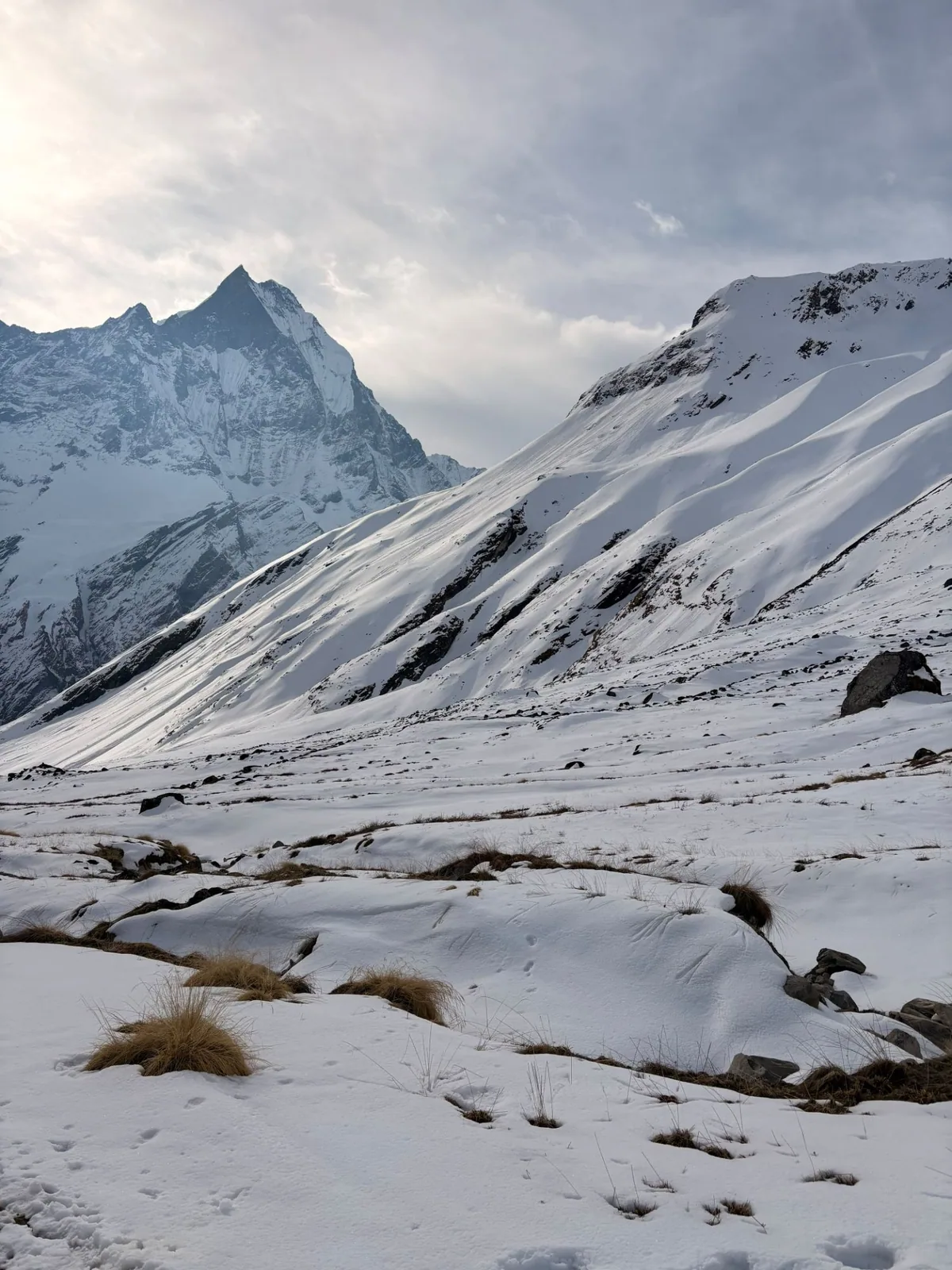 Machhapuchhre, seen from the snowfield near its base camp in March