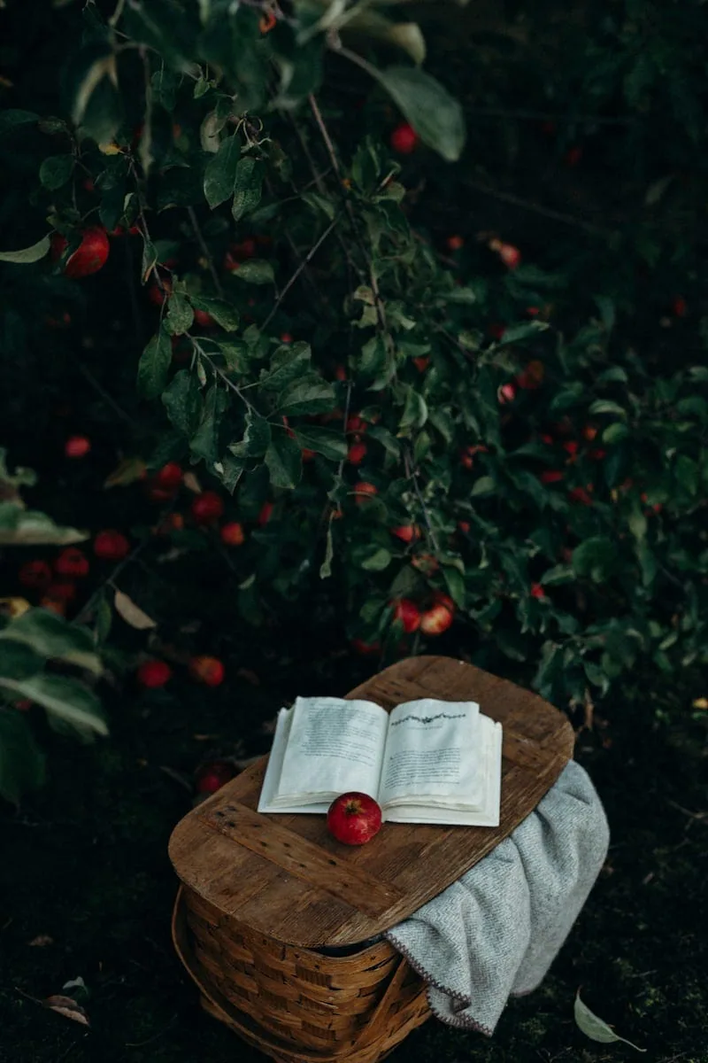 Image credit: Liana Mikah on Unsplash.